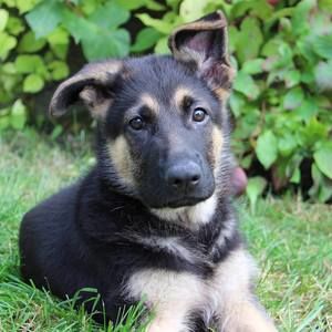 Meet your Posher, Lynne